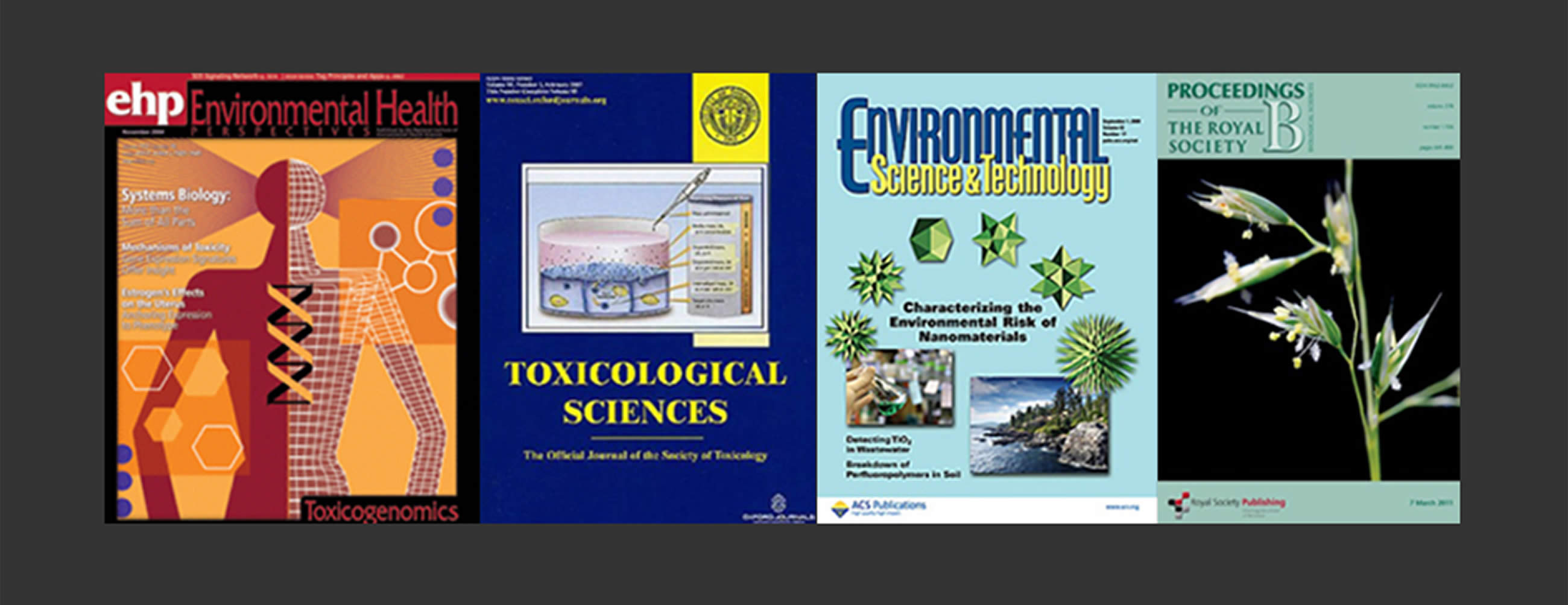 Toxicogenomics Publications