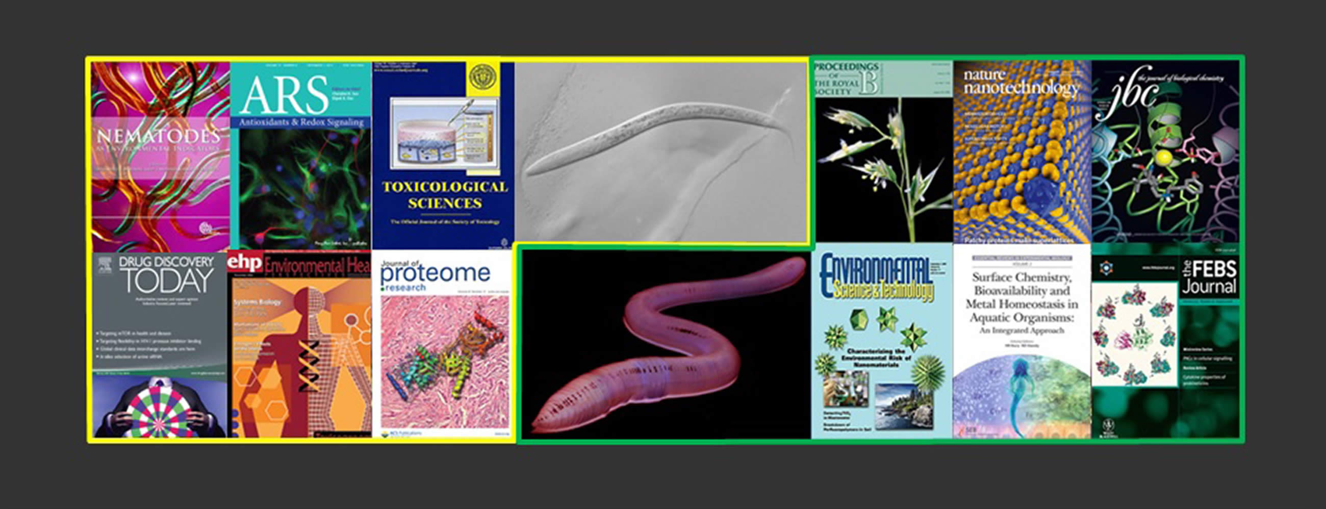 Toxicogenomics Publications